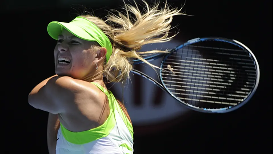 El deporte, los artículos deportivos y la industria del deporte El deporte, los artículos deportivos y la industria del deporte