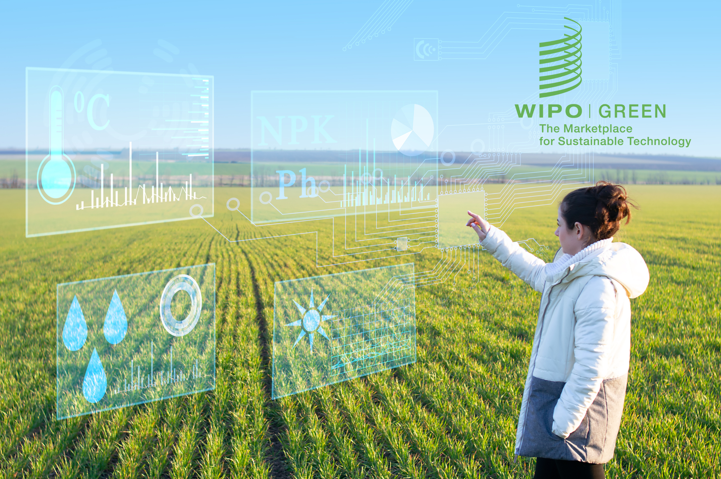 WIPO/WEBINAR/WIPOGREEN/2026/1