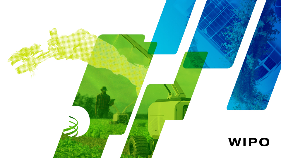 WIPO/WEBINAR/WIPOGREEN/2026/4