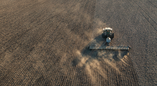 Tractor sowing corn on cultivated field using no-till seed drill technology on sunset.