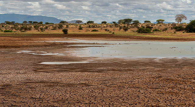 Dry cracked soil ground texture in fields, kenya safari National Park wildlife migration.