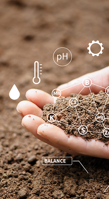 Top view of soil in hands for check the quality of the soil for control soil quality before seed plant. Future agriculture concept. Smart farming, using modern technologies in agriculture"n - stock photo