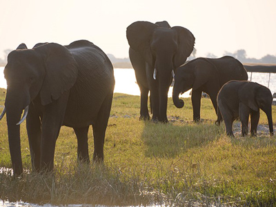 fitjp_news_02102019_image_3_400