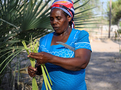 fitjp_news_02102019_image_4_400