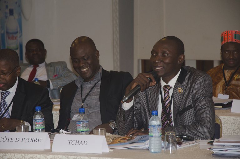 A parliamentarian from Chad making a contribution during the discussion session