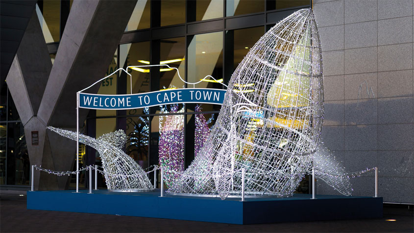 A wire 3-d structure of a whale covered in white lights
