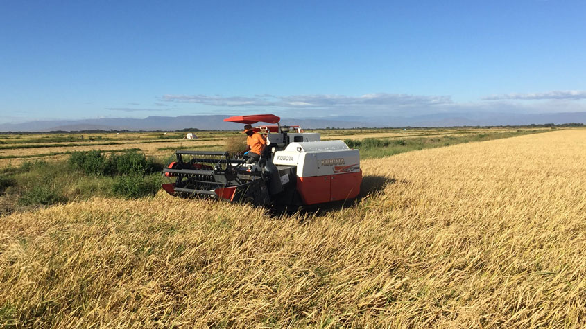 Photo of a Kubota combine harvester