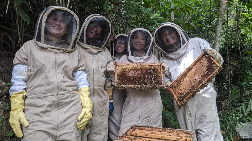 Beekeepers from Apícola La Serranía who are collecting honey from hives