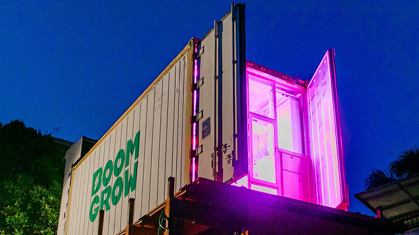 BoomGrow repurposed shipping container used for vertical farming to grow vegetables