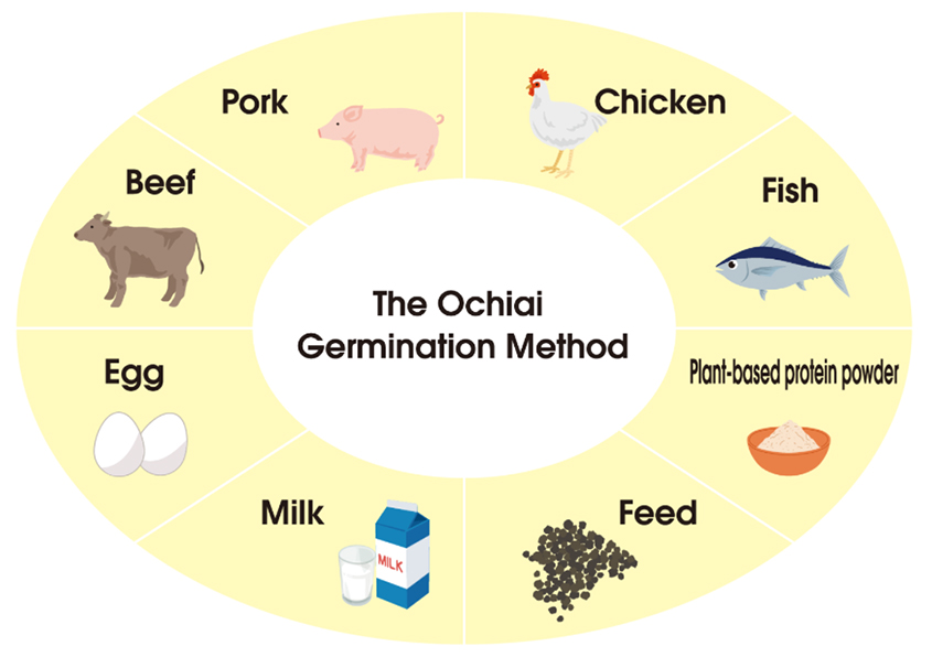 DAIZ contributes to the SDGs by producing alternatives to a wide range of protein sources