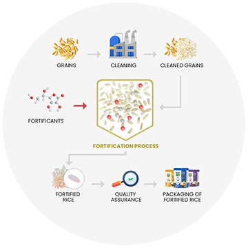 Fortification process of Fortigrains