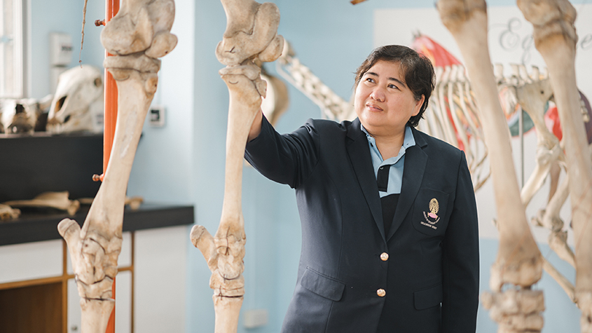 Assistant Professor Pawana Chuesiri beside a giraffe skeleton at the Veterinary Anatomy Exhibition of the Faculty of Veterinary Science, Chulalongkorn University