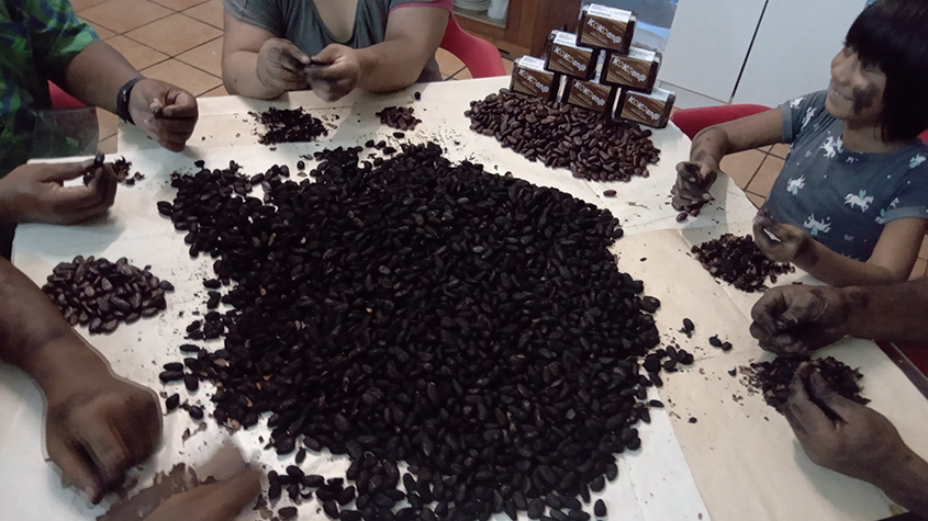 Several people around a table, sorting roasted cacao beans