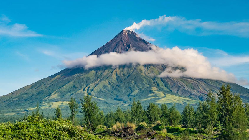 Photo of Pili trees with a volcano in the background