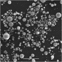 Magnified image of microsphere cold kit for Selective Intra-arterial Radionuclide Therapy (SIRT) observed under a microscope