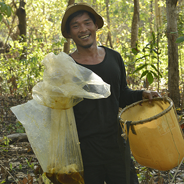The honey harvester holding a clear plastic bag full of honey