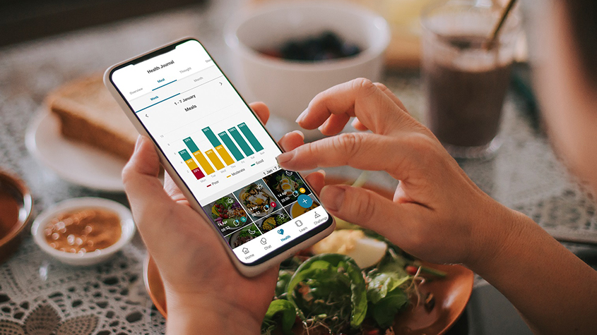 Somebody sitting at a dinner table and holding a mobile phone over a plate of food. The screen of the mobile phone is showing a colorful chart of the food’s ratings