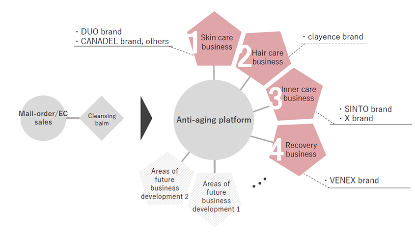 Premier Aging management strategy blueprint