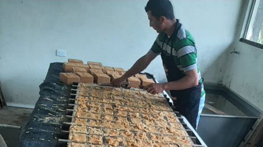 Man putting sugar cane paste in molds to make Santa Balsa panela