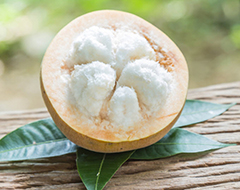 A Ta Lung Santol fruit on green leaves, showing the cotton-like white pulp of the interior of the fruit