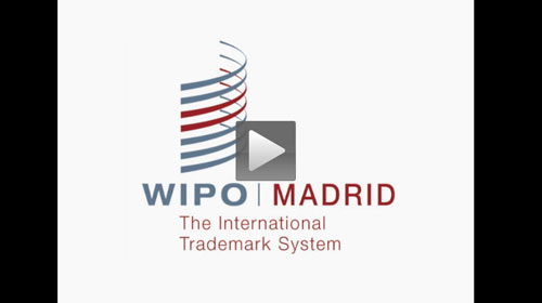 Wipo madrid