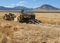 The StrawJet Harvester produces as 