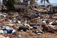El desastre del tsunami de 2004 obligó a los programadores de código abierto de Sri Lanka a desarrollar un sistema personalizado de gestión de la información relativa a las operaciones de ayuda humanitaria. (Foto: Sarvodaya Shramadana)