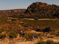 The government and industry are urgently investigating how best to protect products such as Rooibos which are considered part of the country's heritage. (Photo by Maya Leclercq)