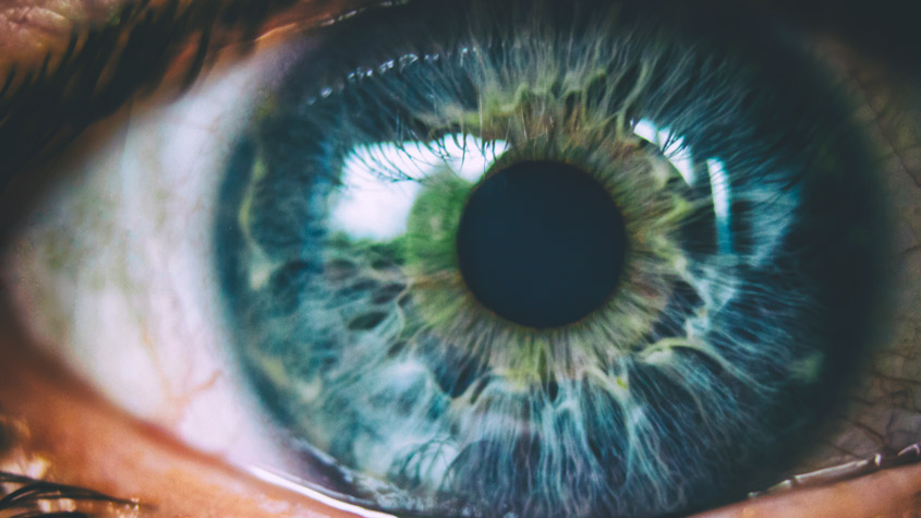 Desde México, un sistema para administrar medicamentos basado en nanotecnología contribuirá a mejorar la salud ocular en todo el mundo