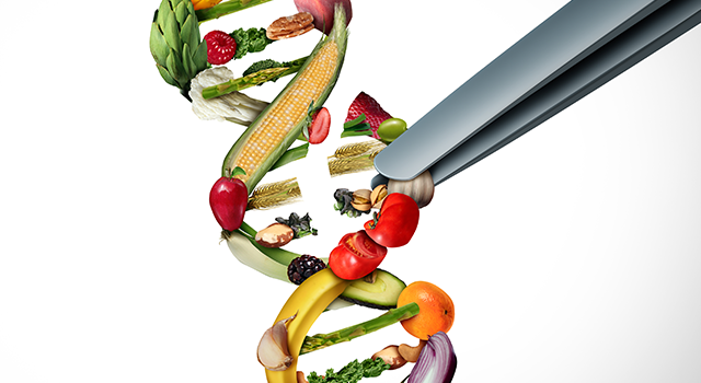 Agriculture gene editing and agricultural CRISPR concept or genetic engineering of food as a group of farm produce shaped as a DNA strand with 3D illustration elements.
