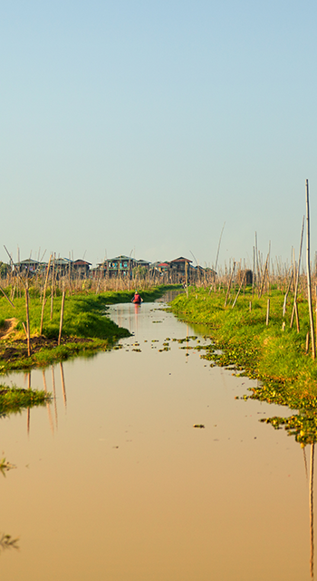 Floating gardens in Inle Lake, Myanmar. Intha people support themselves through the tending of vegetable farms on floating gardens.