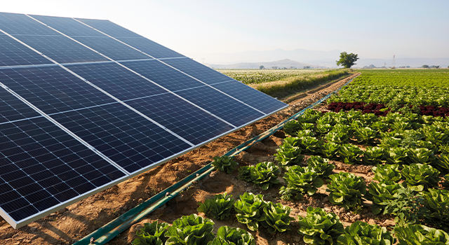 Irrigation of agricultural field with solar panels.