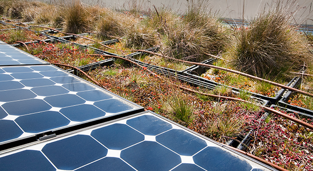 A green building conserves energy and practices sustainability using rooftop solar panels and an outdoor urban garden