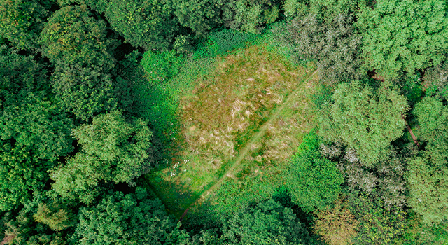 Tunisia, true colour satellite image with mask. North is at top. Around forty-five percent of the country is composed of the Sahara desert, with much of the remainder consisting of particularly fertile soil, with easily accessible coasts. This image was compiled from data acquired by LANDSAT 5 & 7 satellites., Tunisia, True Colour Satellite Image With Mask (Photo by Planet Observer/Universal Images Group via Getty Images)