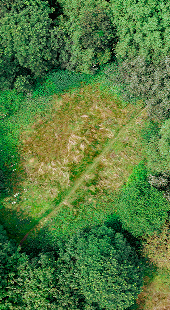 Tunisia, true colour satellite image with mask. North is at top. Around forty-five percent of the country is composed of the Sahara desert, with much of the remainder consisting of particularly fertile soil, with easily accessible coasts. This image was compiled from data acquired by LANDSAT 5 & 7 satellites., Tunisia, True Colour Satellite Image With Mask (Photo by Planet Observer/Universal Images Group via Getty Images)