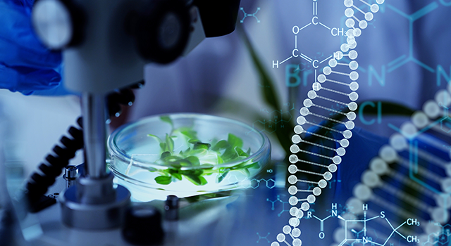 Genetic engineering concept. Medical science. Scientific Laboratory.