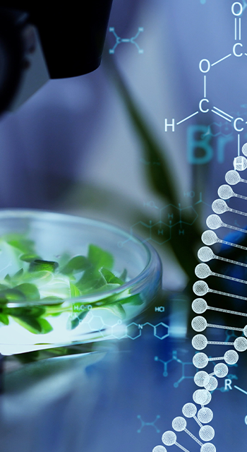 Genetic engineering concept. Medical science. Scientific Laboratory.