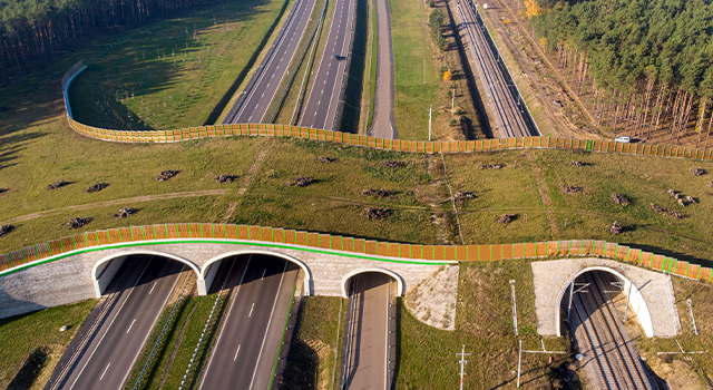 Passage for animals over the expressway - stock photo