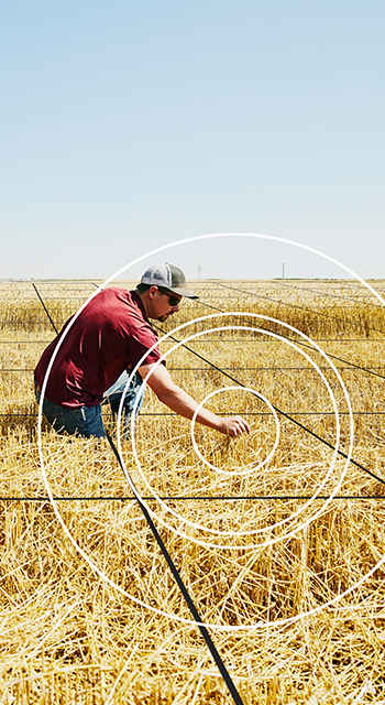 Wide shot of farmer kneeling in wheat field inspecting results of cut during harvest with grid illustration overlay