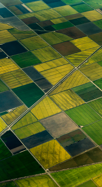 Aerial view of green fields
