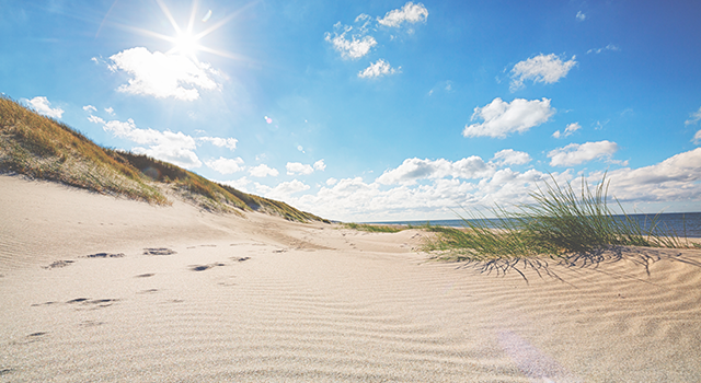 Beach by the North Sea