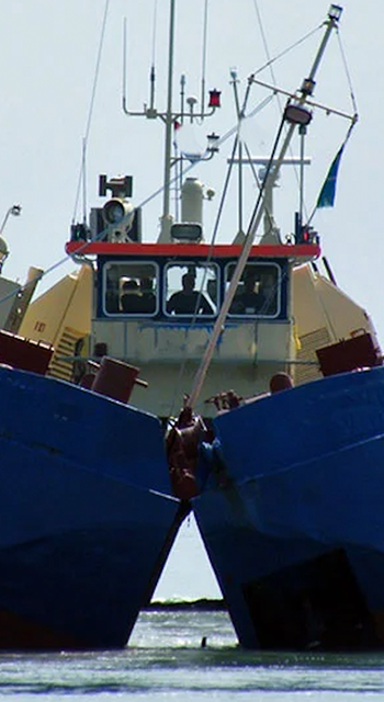 large fleet of vessels that can undertake various beach nourishment tasks