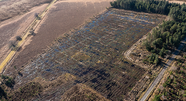 Aerial image of a restored peat bog. Previously forestry land, now converted into a peat bog ecosystem, maintained by local volunteers. The first hint of healthy sphagnum moss taking hold and a good even level of wet ground. Happy Planet Earth!