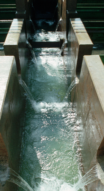 Water from the California Aqueduct flows through a pumping station administered by the Los Angeles Department of Water & Power. The water goes through a filtering process at the pumping station after making the trip from northern California.