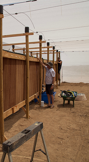 greenhouses in arid environments using seawater as input water
