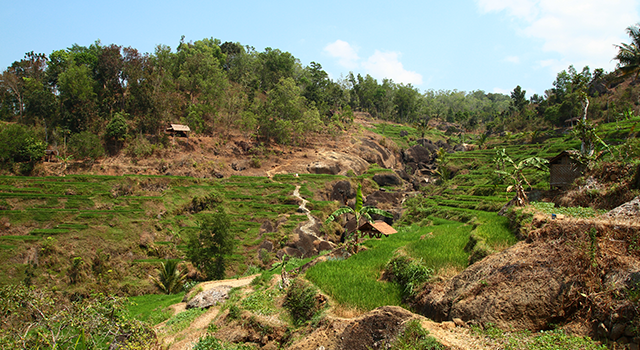 terracing farmland view of Nglanggeran, Gunungkidul