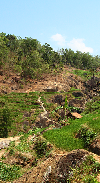 terracing farmland view of Nglanggeran, Gunungkidul