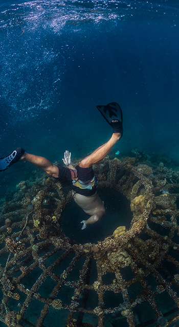 Man diving underwater, Perebutan, Bali, Indonesia