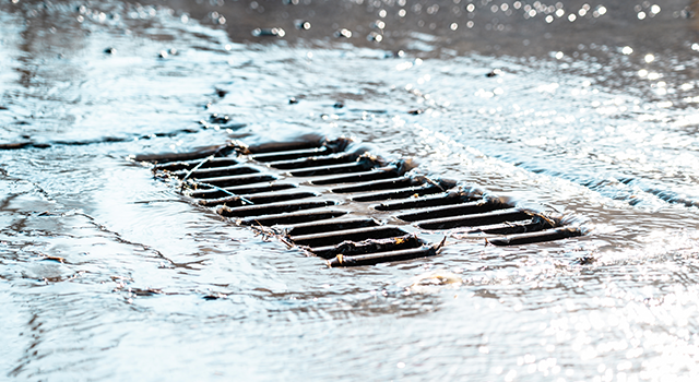 The grate of the storm sewer after the rain. The water drains into the storm drain. Sun glare, defocused background