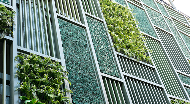 Green facade, vertical garden in architecture